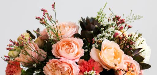 Flores