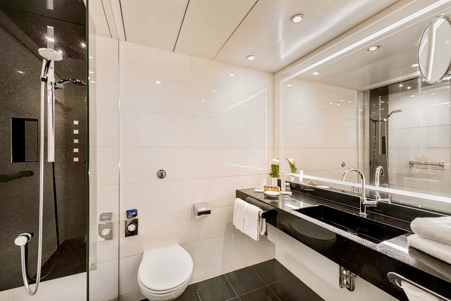 Maritim Hotel Bonn