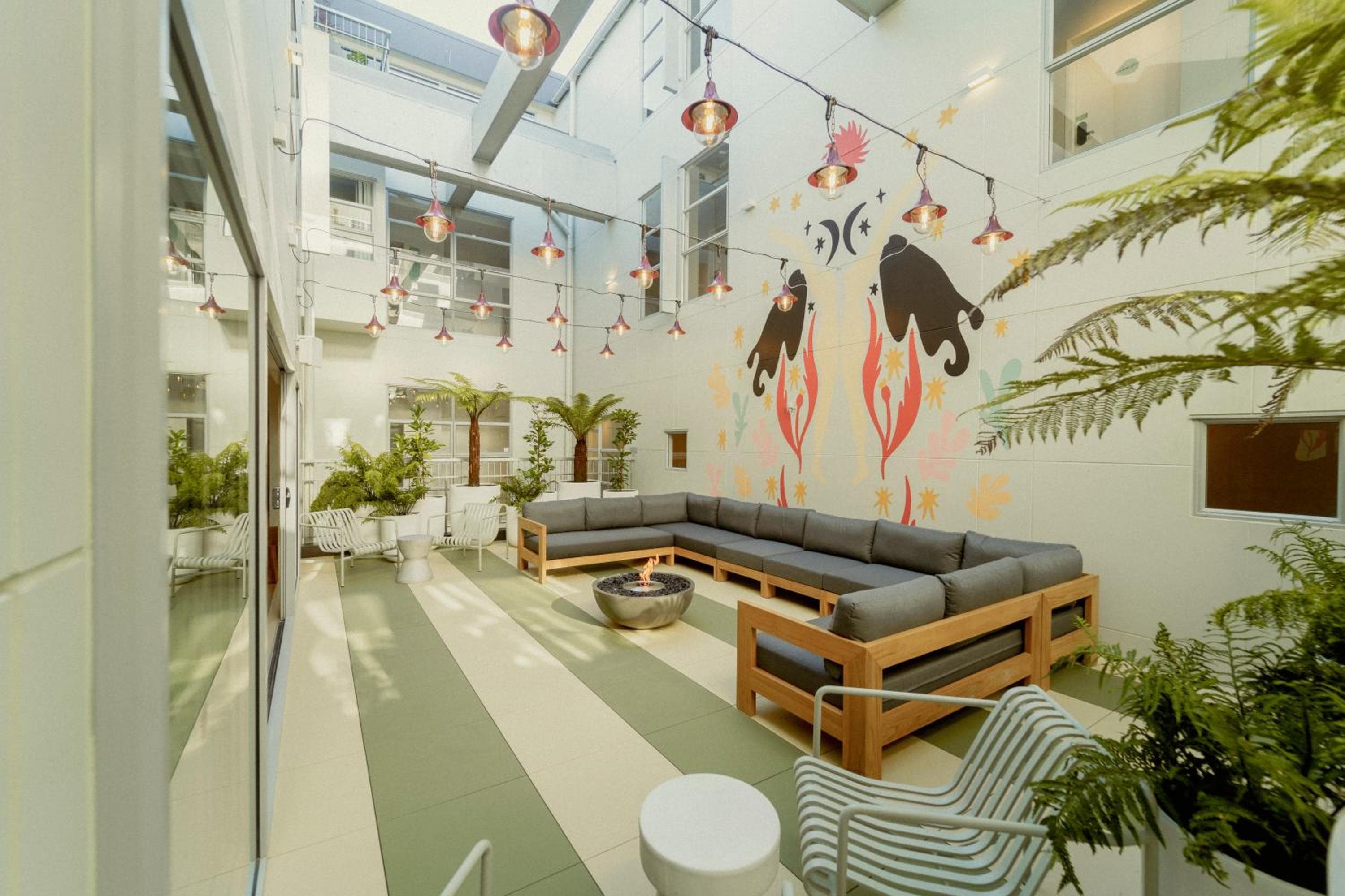 Drifter Christchurch