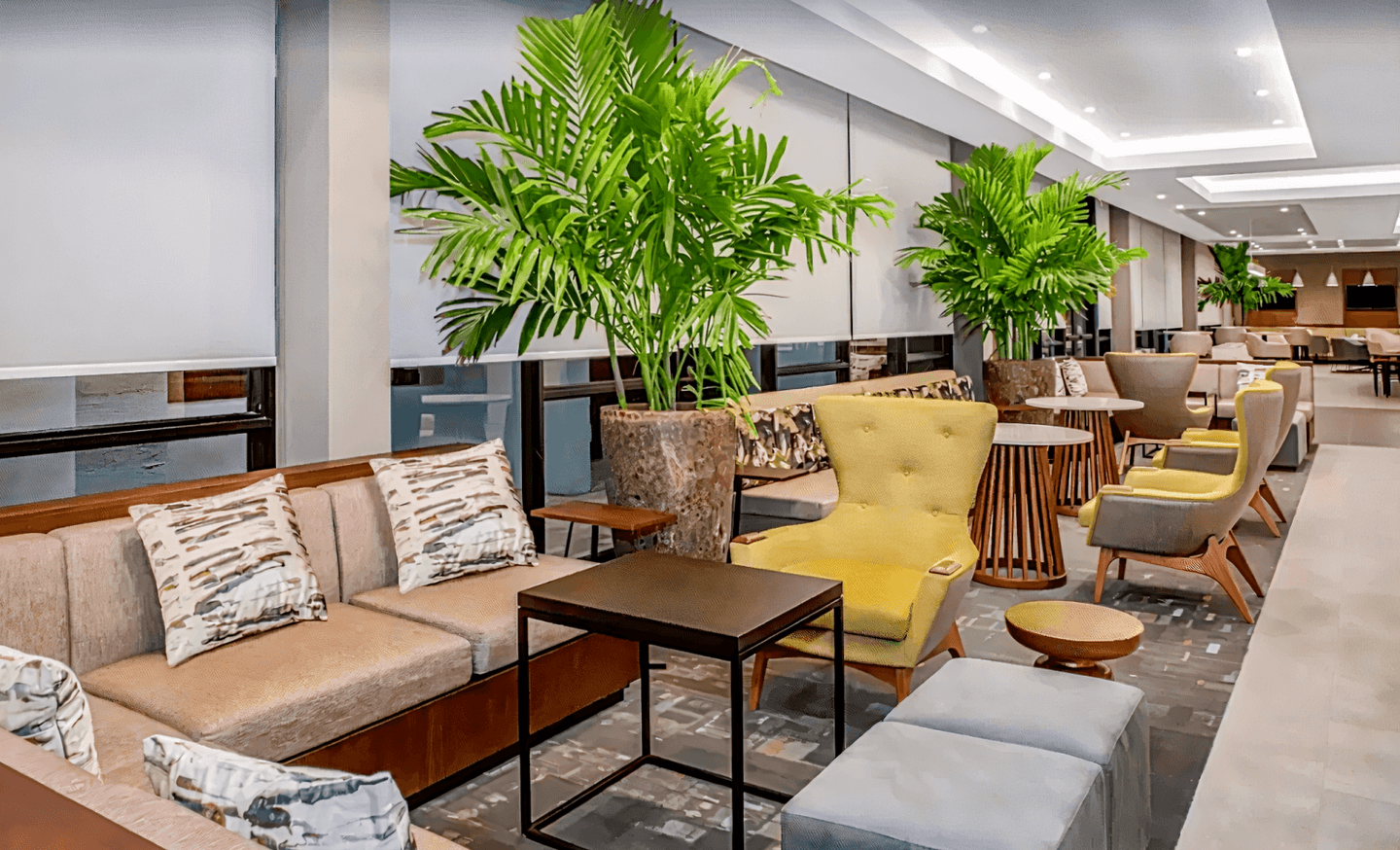 Wyndham Garden Ft Lauderdale Airport & Cruise Port