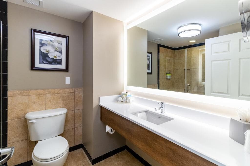 Holiday Inn Express Savannah Historic District