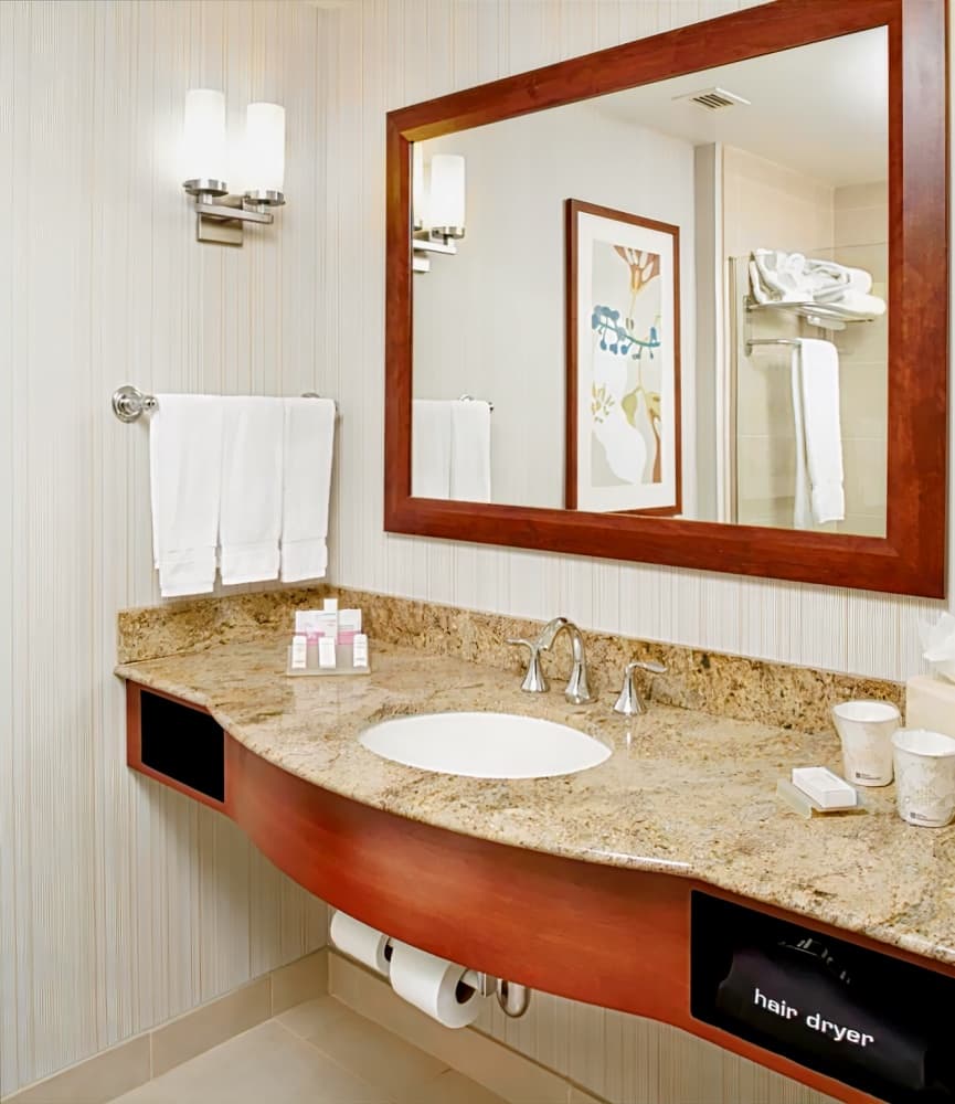 Hilton Garden Inn Dallas/Arlington