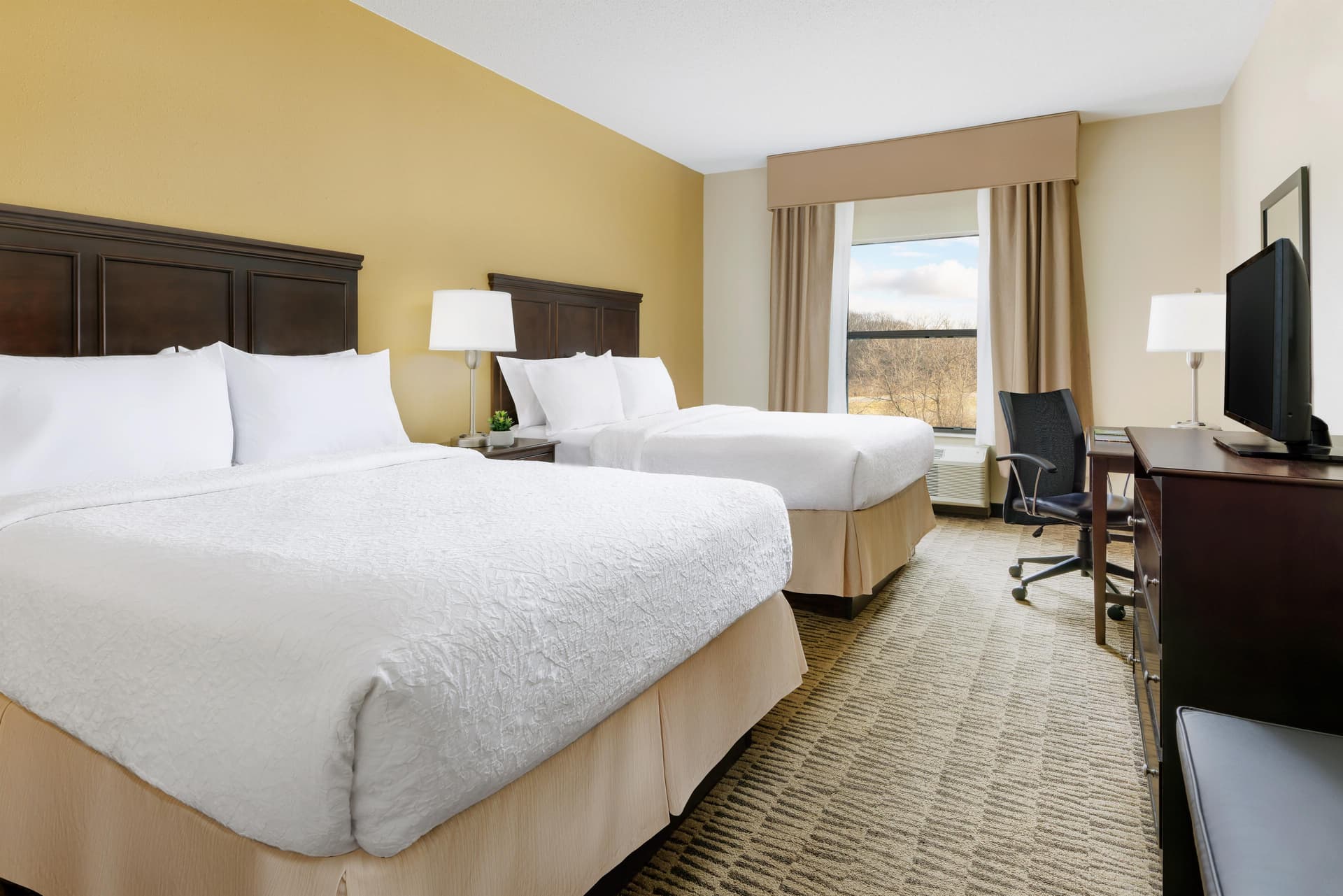 Hampton Inn Jackson