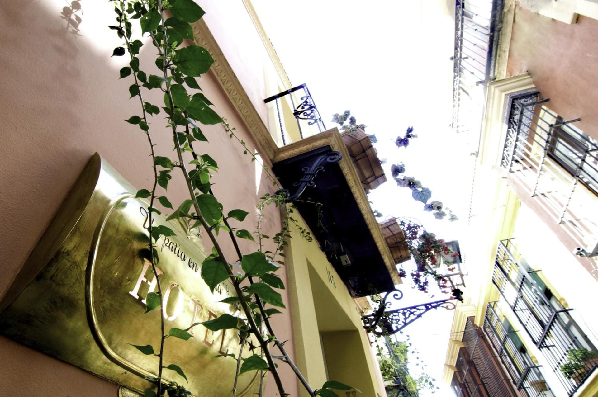 Hotel Un Patio en Santa Cruz