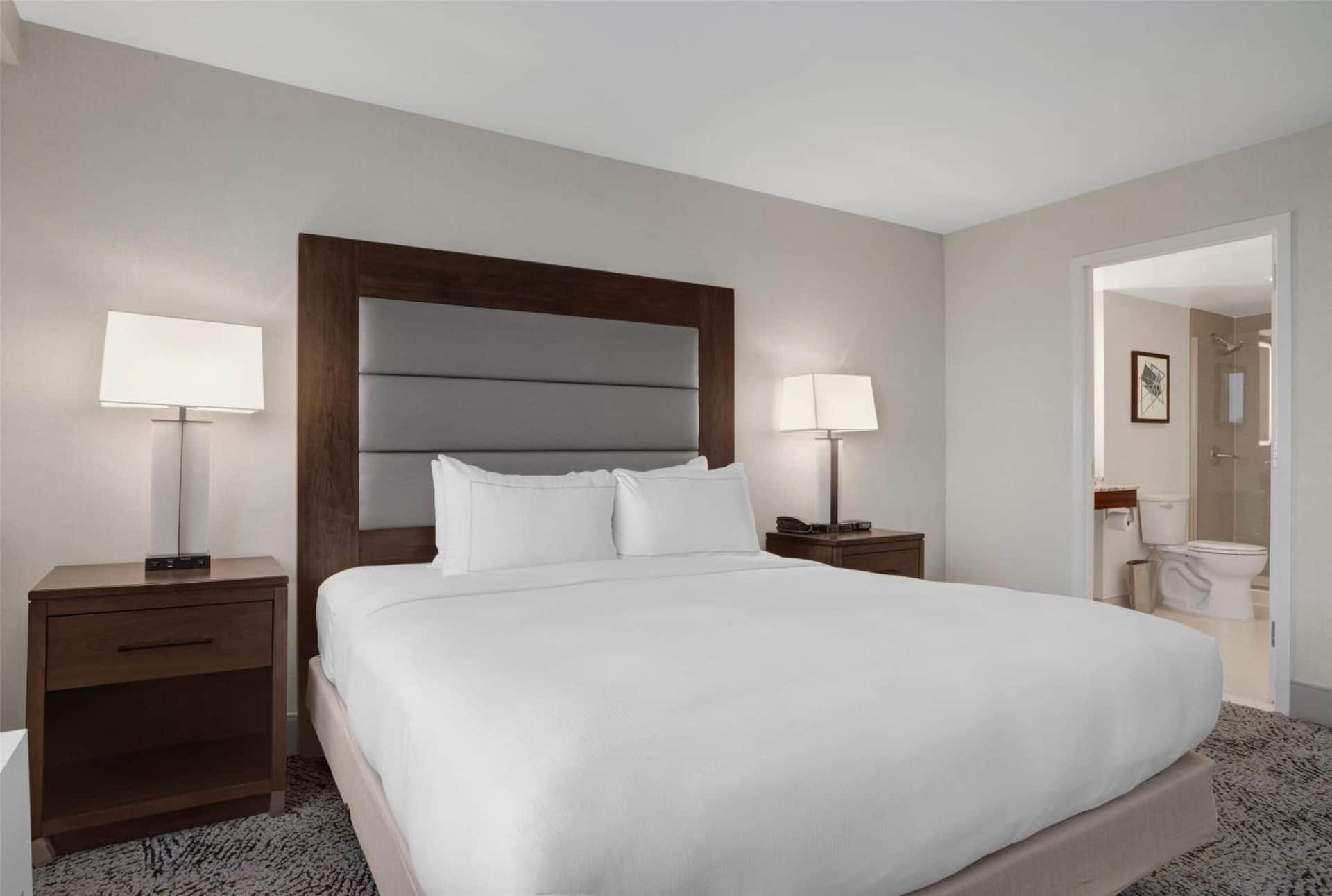 Hilton Arlington National Landing