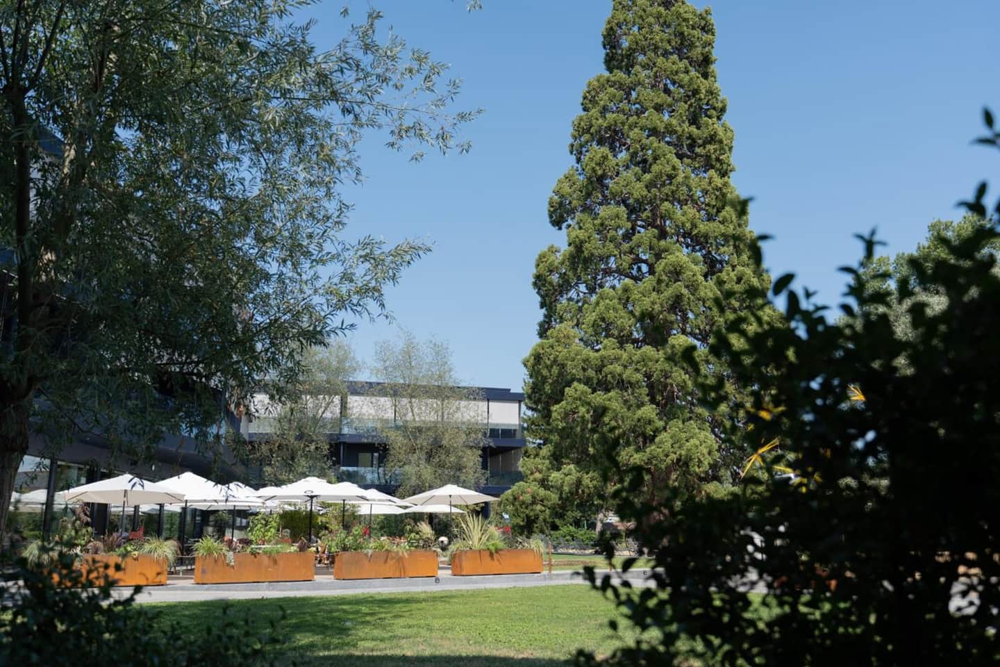 Pattùs Hotel
