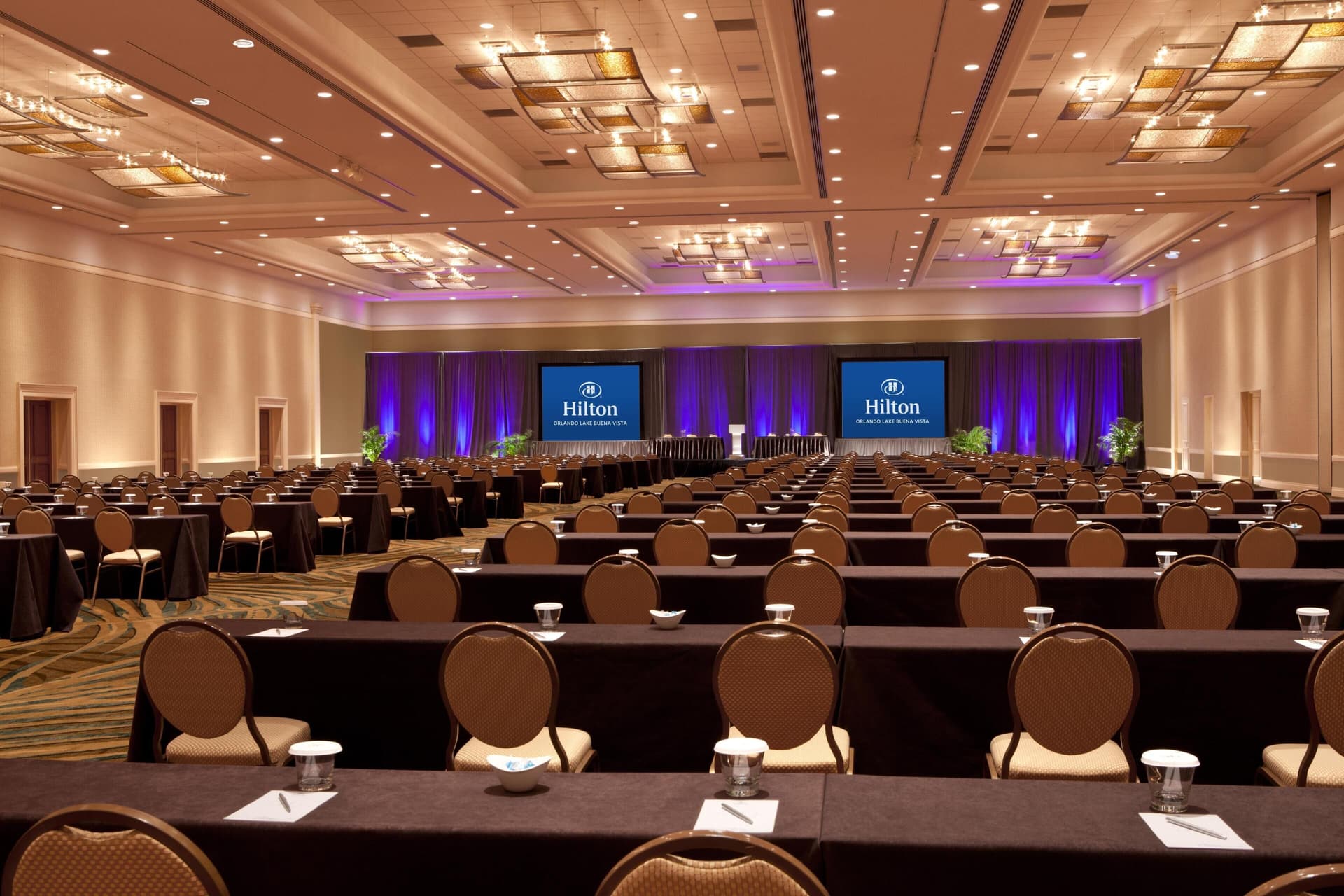 Hilton Orlando Lake Buena Vista - Disney Springs® Area