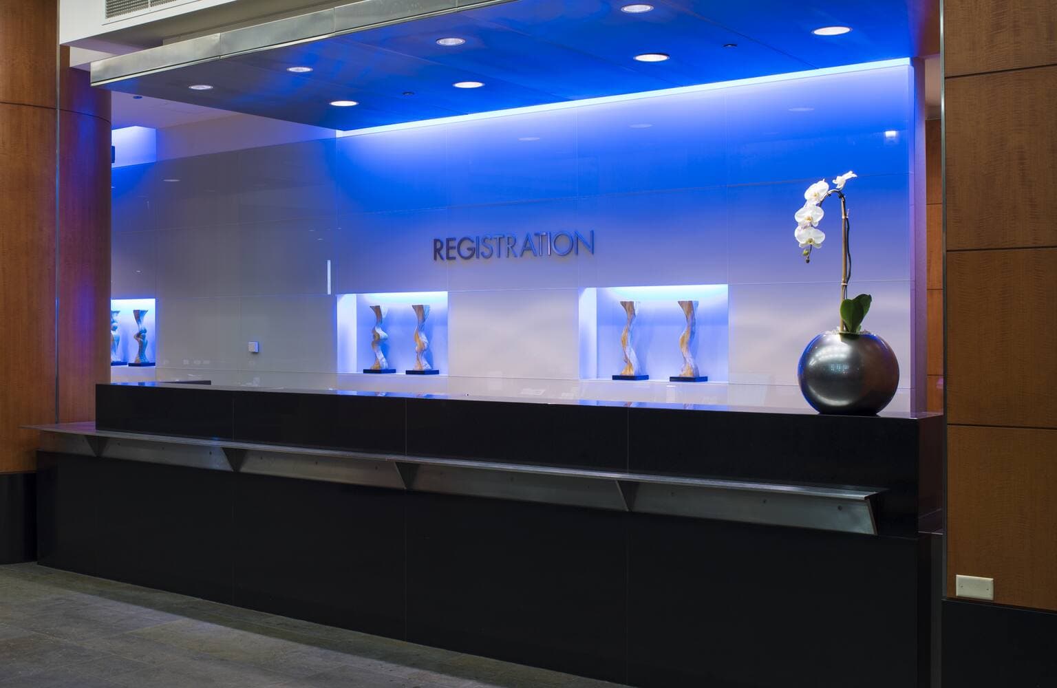 Embassy Suites by Hilton Chicago Downtown Magnificent Mile